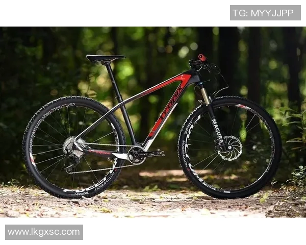 极限运动嘉年华积分榜更新北京滑板队以88分稳居第一名